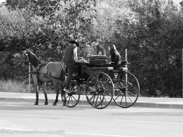 Carro de tiro
